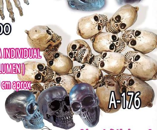 Calavera individual en volumen